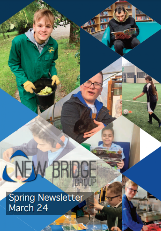 New Bridge Group Spring Newsletter 2024